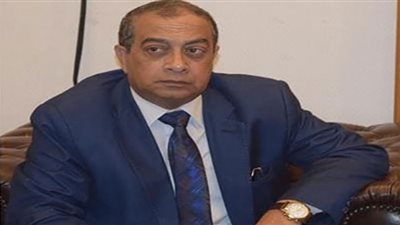 الجمارك: البنك المركزي عامل رئيسي في إنجاح المنظومة الجديدة