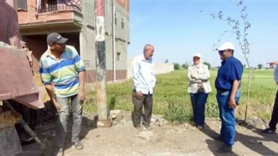 استمرار تنفيذ الخطة المتكاملة لزراعة أعمدة الكهرباء بنطاق مركز المنصورة