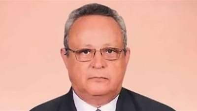 أحمد عبدالله زايد مديرًا لمكتبة الإسكندرية