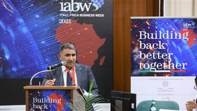 إسكندر: مصر أكبر المستفيدين في الاستثمار بمنتدى المتوسط الثالث بنابولي