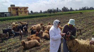 تنفيذ ٢ قافلة سكانية شاملة بمركزي حوش عيسى والرحمانية