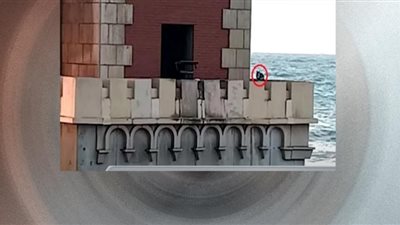 الإسكندرية تنتفض لإنقاذ قطة.. علقت 250 يومًا أعلى كوبري ستانلي (فيديو)