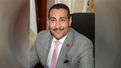 طاقة النواب تطالب بحصر عدد المحميات بمصر وأوجه استغلالها