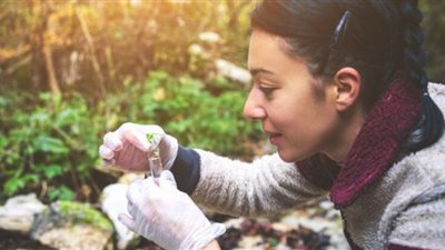 5 منح دراسية مُقدمة من المجلس الثقافى البريطانى وجامعة سترلينغ