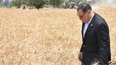 محافظ الشرقية: توريد 109 طن قمح اليوم للصوامع والشون
