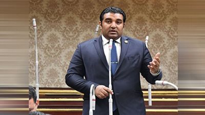نائب: عايزين نعرف إيه اللي يخلي المواطن يببيع اللي وراه واللي قدامه علشان يهاجر