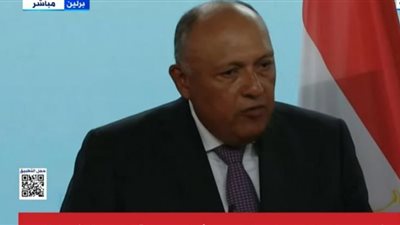 وزير الخارجية: نتطلع إلى التعاون مع ألمانيا للنجاح في تنظيم مؤتمر 