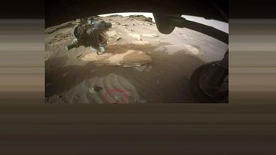 كوكو الضعيف يصل المريخ| ناسا: المصريين عملوها من غير ما نحس (ايه الحكاية)