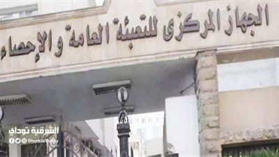 الإحصاء: 66.1% ارتفاعاً في قيمة التبادل التجاري بين مصر والسعودية