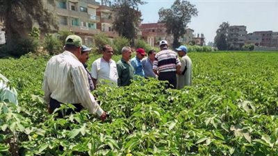 الشرقية تنظم ندوة إرشادية لمزارعي قرية 