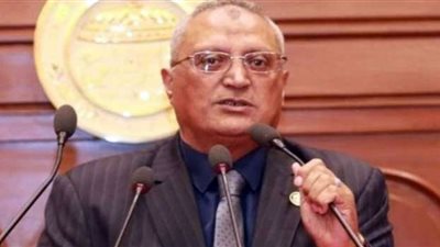 برلماني: المصريون قادرون على الحفاظ على ما ضحى من أجله شهداء الوطن
