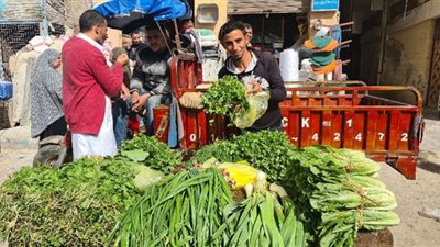 ثبات اسعار الخضروات و المواد الغذائية فى مطروح