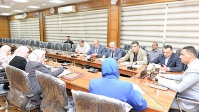 محافظ الدقهلية يؤكد على أهمية تعظيم الإستفادة من قروض مشروعات شباب الخريجين