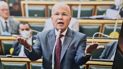 السيد شمس الدين: تصريحات وزير الزراعة للشو الإعلامي.. وغالبية السلع ارتفعت أسعارها