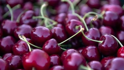 الكرز الحامض يساعد على مكافحة أمراض القلب والأوعية الدموية
