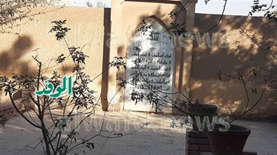 شجرة (النور) تعتذر لقاهر الظلام فى مقابر التونسى ( صور)