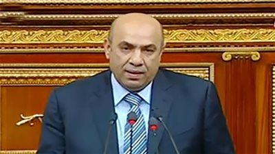 علاء عبدالنبي: البيان المصري السعودي وضع روشتة علاج لتحديات المنطقة