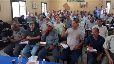 زراعة الشرقية تنظم ندوة إرشادية عن زراعة المانجو بإدارة فاقوس| صور