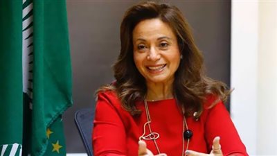 أبو زيد: الموقف الأفريقي سيدعم نتائج استثمارات الطاقة بمؤتمر شرم الشيخ