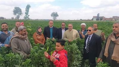 تنفيذ مدرسة حقلية عن الفول البلدي بمركز أبوكبير