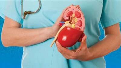 7 طرق للحفاظ على صحة الكلى