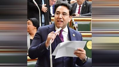 أيمن محسب: وقف تصدير 6 سلع غذائية قرار يساهم في تحقيق فائض للتخزين