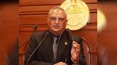 برلماني: قرار وقف تصدير