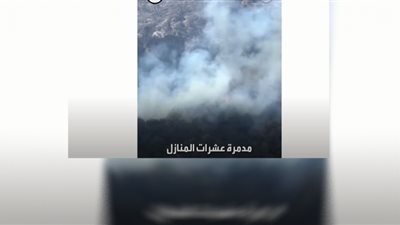 لهيب الحر يصل أمريكا وحرائق الغابات تشعل تكساس (شاهد)