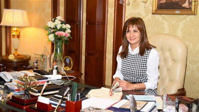 استجابة قوية من المصريين في الخارج للمساهمة في مشروع 