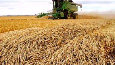 تفاصيل توقيع روسيا وأوكرانيا اتفاقية تصدير الحبوب (فيديو)