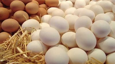 انخفاض أسعار الأعلاف.. و