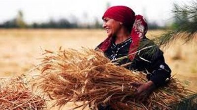 الأرصاد: المرأة تحتاج لتأهيل أكبر في التعامل مع قضايا البيئة والمناخ (فيديو)
