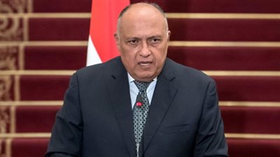 وزير الخارجية يستقبل لافروف في مقر الخارجية