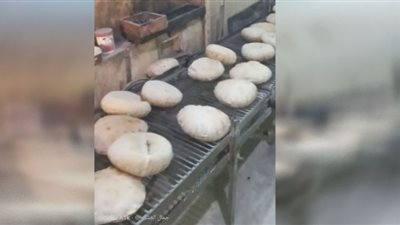 محافظ الدقهلية يحيل 36 مخالفة تموينية متنوعة إلى النيابة العامة