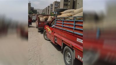 توريد 170 ألف طن قمح للشون والصوامع في أسيوط حتى اليوم