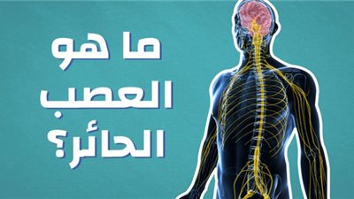 عصب الموت الحائر ضغط نفسي وضرب فى القلب