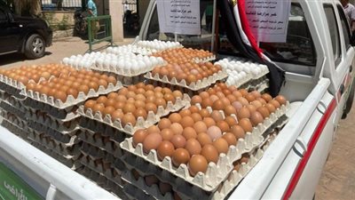 طرح كميات من البيض بمنافذ الزراعة والسعر مفاجأة