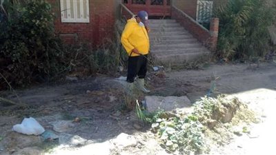 محافظ الدقهلية يتابع أعمال النظافة ورفع كفاءة الشوارع