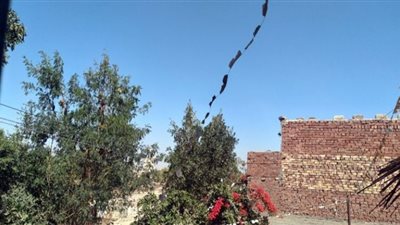 تعرف علي طقس أسوان اليوم الإثنين