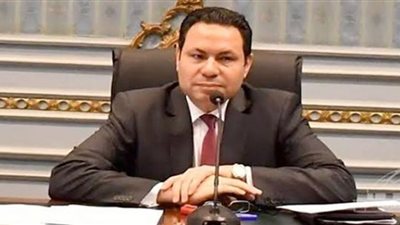 رئيس زراعة النواب: حافز توريد القمح يؤكد انحياز الرئيس للفلاح