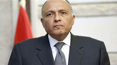 شكري يلتقي وزير البيئة والمياه الماليزي