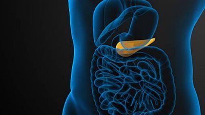 منتجات تدمر البنكرياس.. فما هي؟