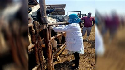 اعتماد المنظمة العالمية للصحة الحيوانية لمنشأتين لإنتاج الألبان بالشرقية