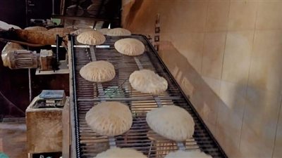 الدقهلية تواصل حملات الرقابية على المحلات التجارية والمطاعم ومنافذ بيع السلع