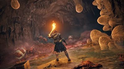 Elden Ring تبيع 12 مليون نسخة في 18 يومًا