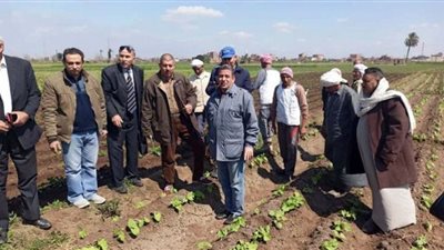 زراعة الشرقية تنفذ مدرسة حقلية عن البطاطس والفراولة لمزارعي قرية السلام