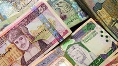 ارتفاع طفيف فى أسعار العملات العربية اليوم