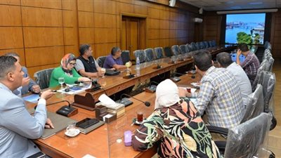 عرض تصميمات مشروع المحور الجديد على النيل امتداد المشاية بالمنصورة