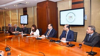 توفير آليات تتيح للمصريين بالخارج الاستفادة من منصة مصر الرقمية