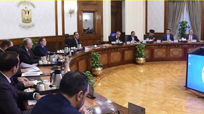 الحكومة لن تسمح بعدم استقرار قطاع صناعة الدواجن